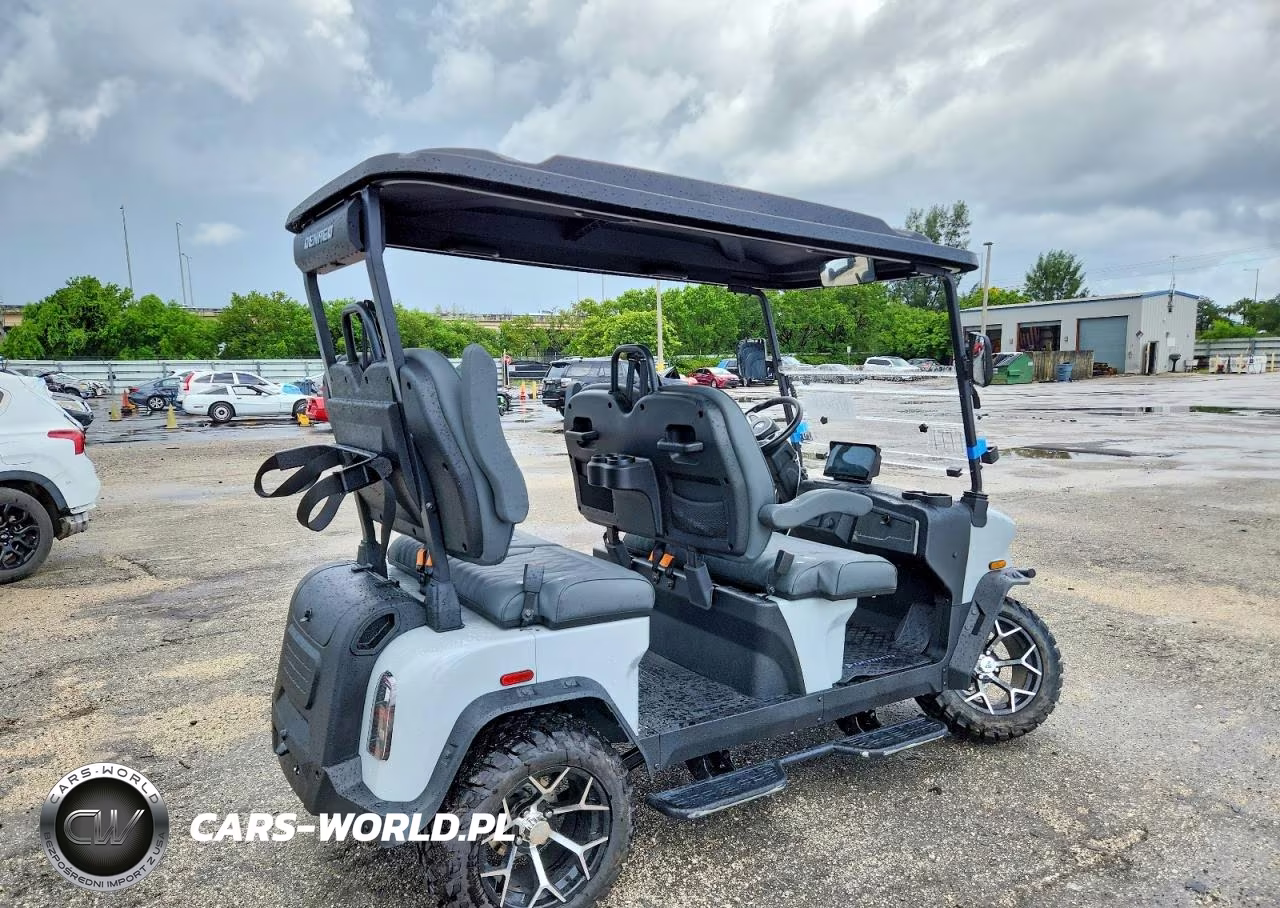 2025 Denago Rover Xl Golf Cart VIN:7XBADABA0SA021403 - 4