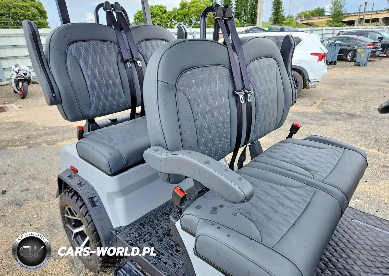 2025 Denago Rover Xl Golf Cart VIN:7XBADABA0SA021403 - 5