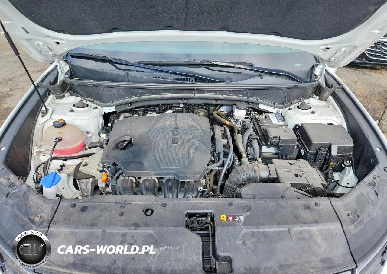 2023 Hyundai Tucson Sel VIN:5NMJFCAE3PH198002 - 12