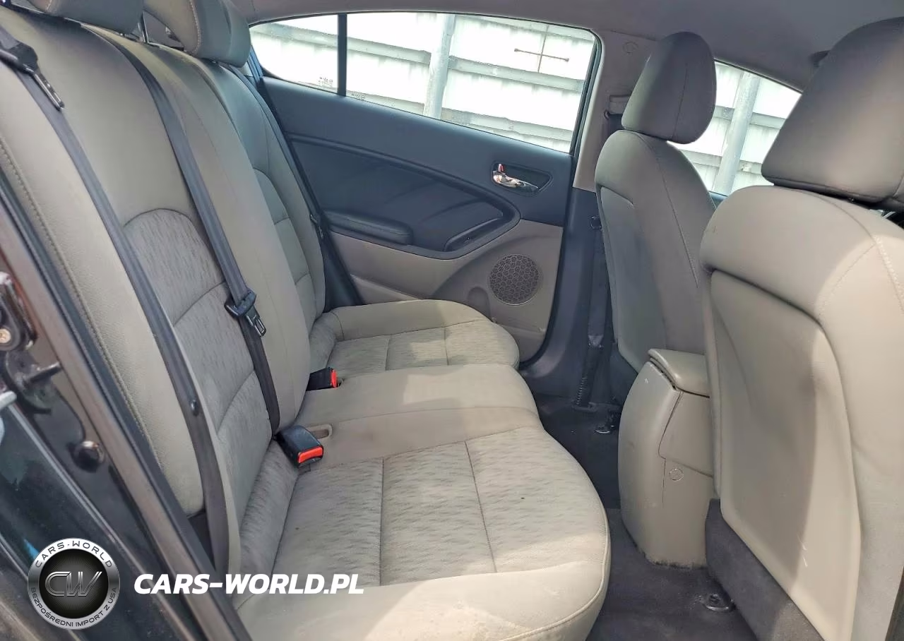 2015 Kia Forte Lx VIN:KNAFK4A6XF5284972 - 10