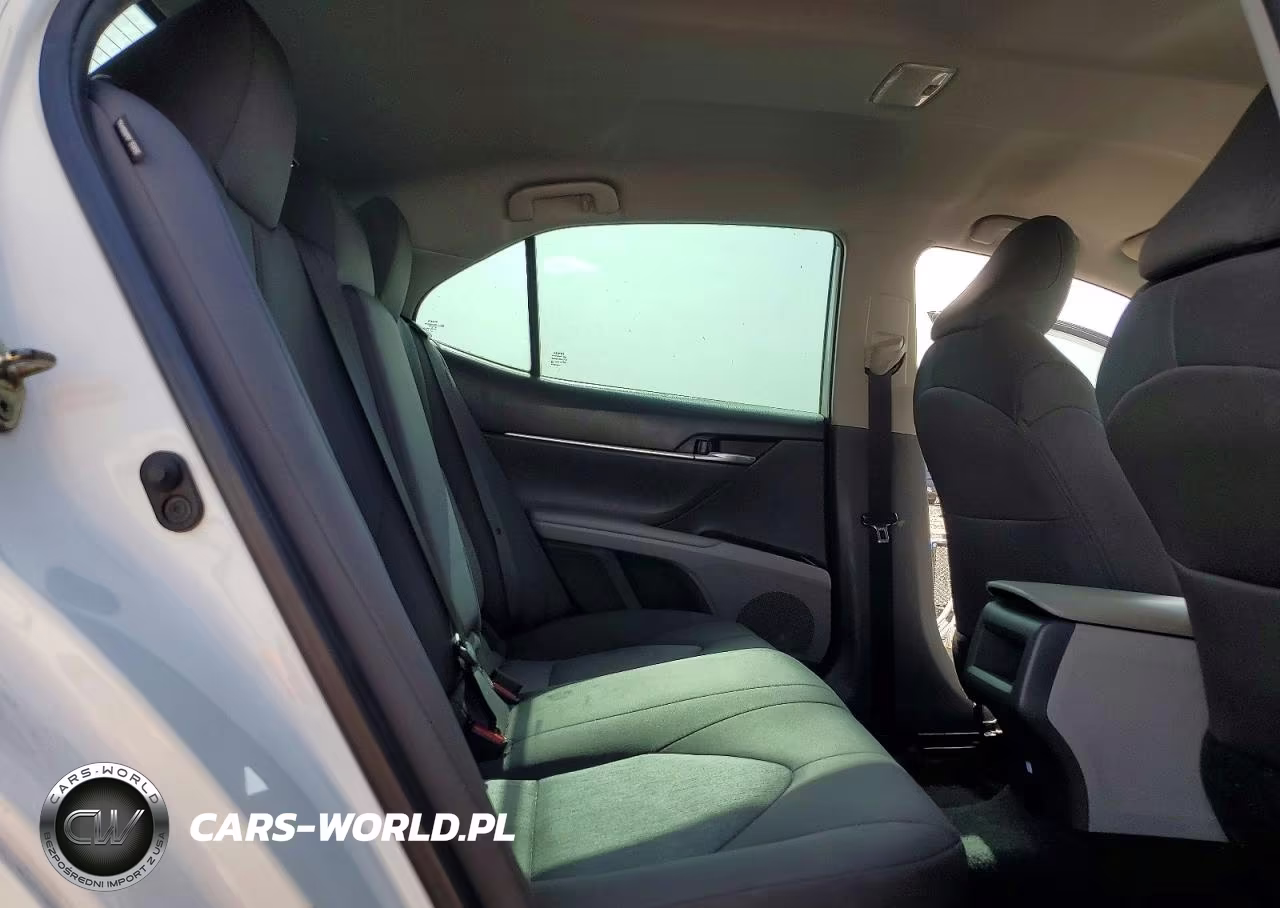 2020 Toyota Camry Le VIN:4T1C11AK0LU925838 - 10
