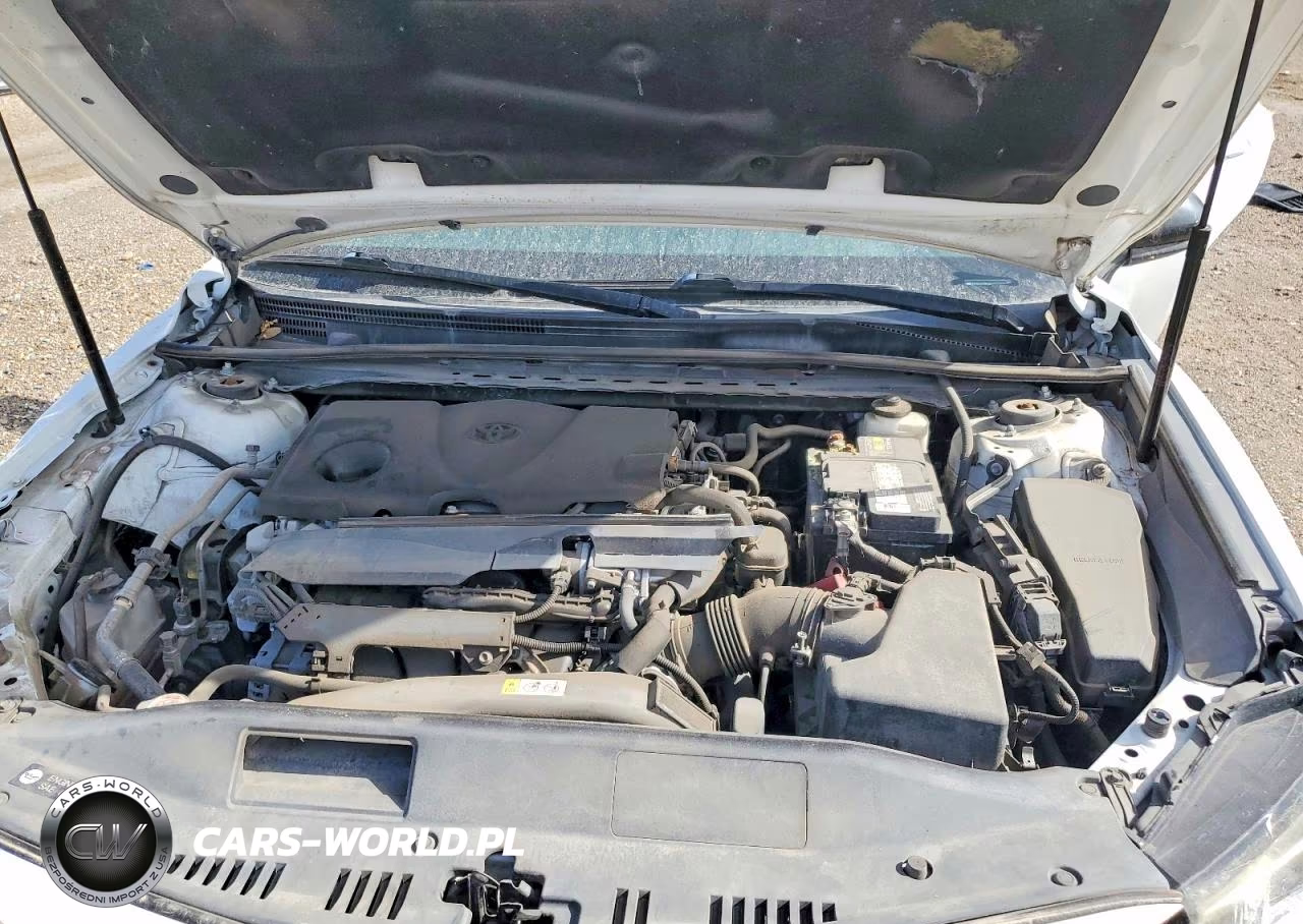 2020 Toyota Camry Le VIN:4T1C11AK0LU925838 - 11