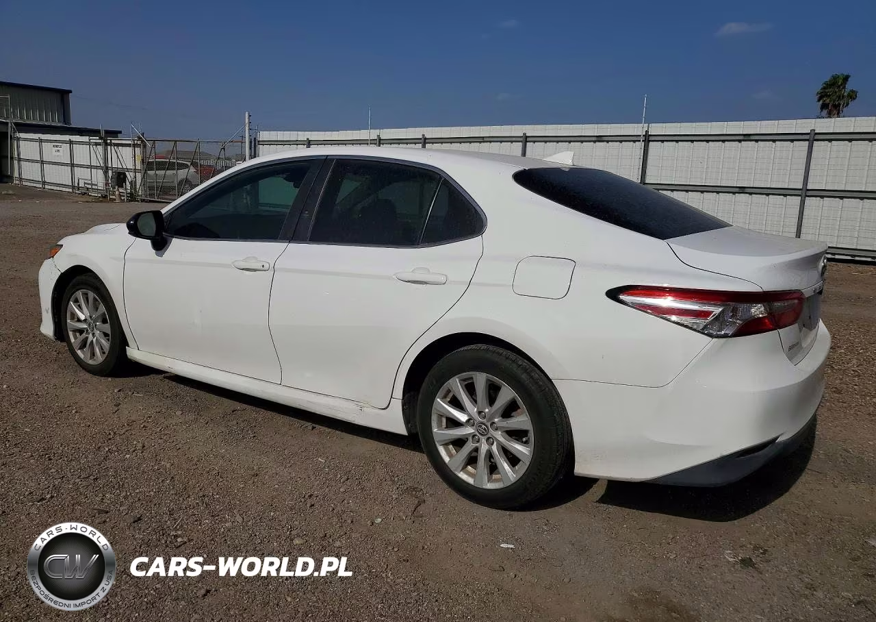 2020 Toyota Camry Le VIN:4T1C11AK0LU925838 - 2