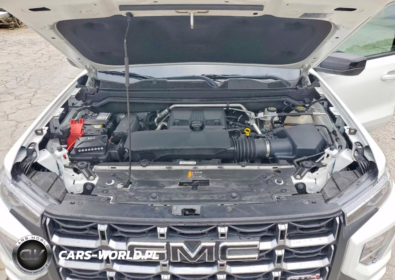 2024 GMC Canyon At4 VIN:1GTP6DEK7R1266024 - 11