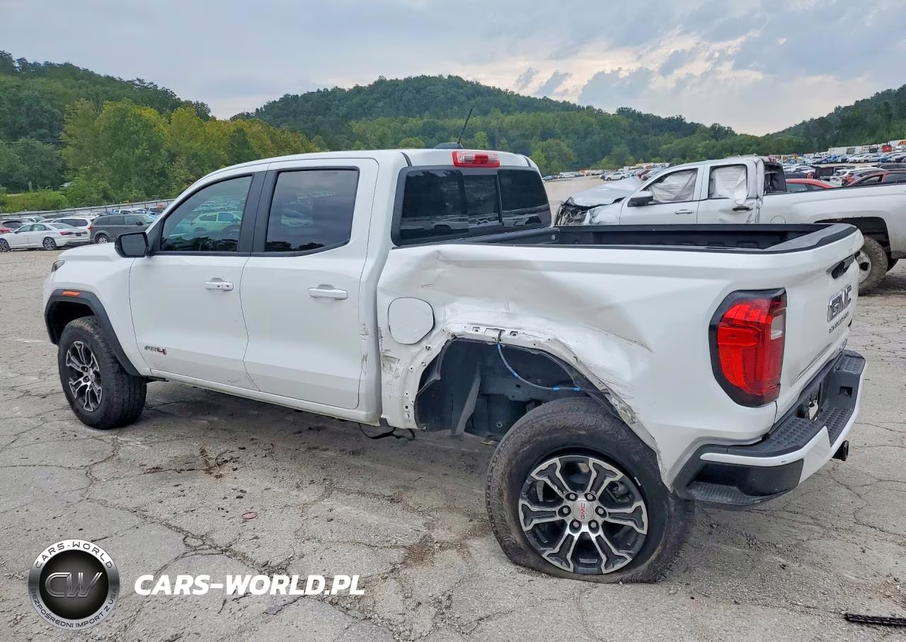2024 GMC Canyon At4 VIN:1GTP6DEK7R1266024 - 2