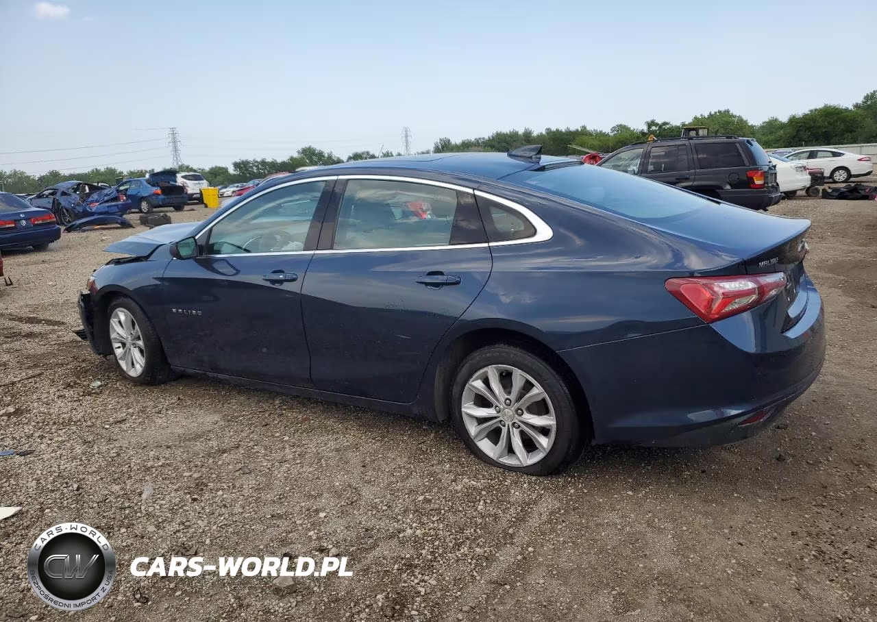 2019 Chevrolet Malibu Lt VIN:1G1ZD5ST3KF172399 - 2