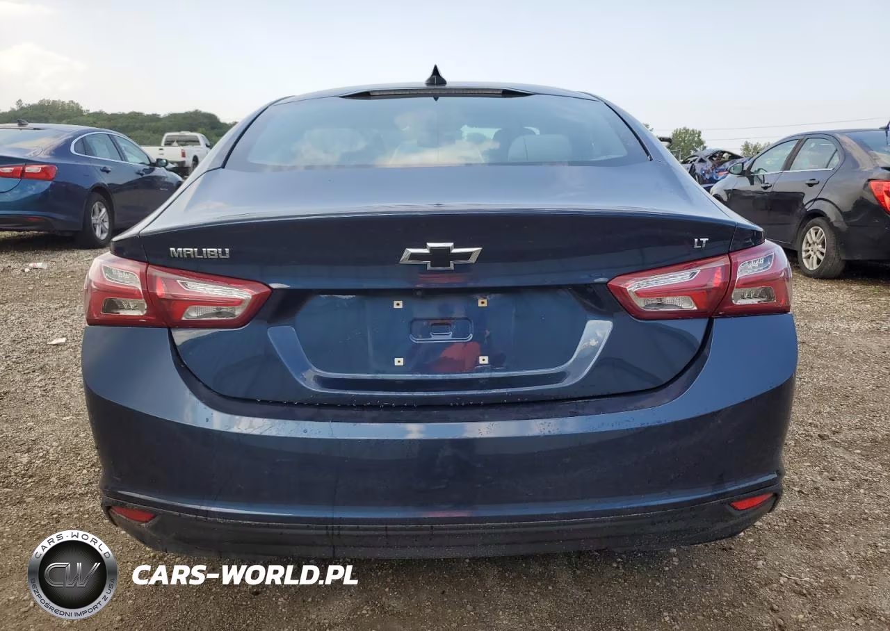 2019 Chevrolet Malibu Lt VIN:1G1ZD5ST3KF172399 - 6