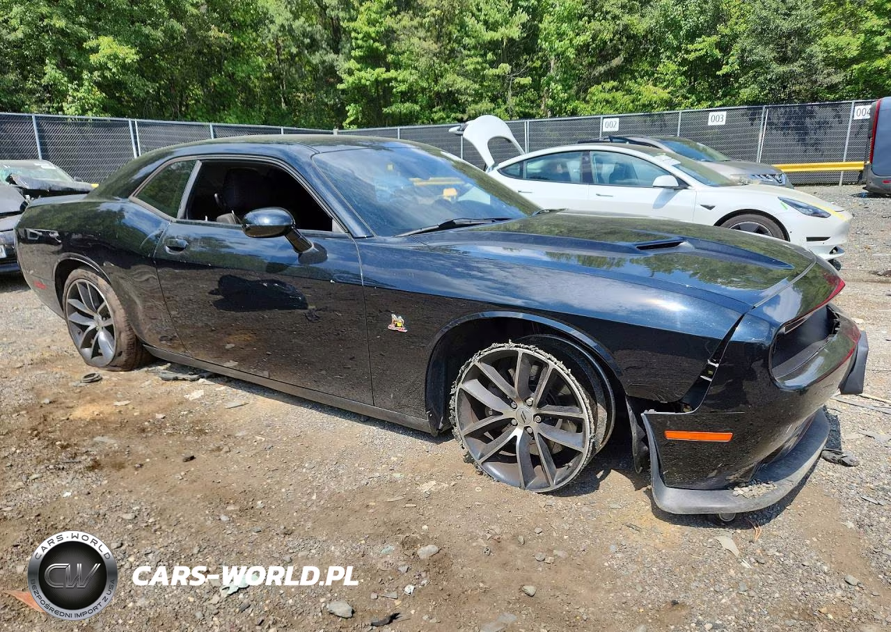 2017 Dodge Challenger R-T 392 VIN:2C3CDZFJ8HH651636 - 4