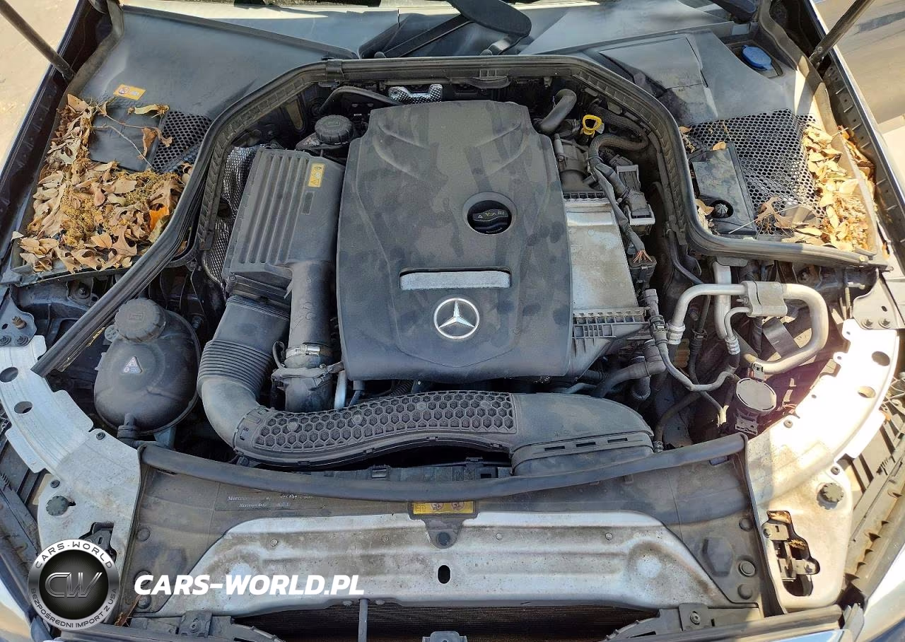 2016 Mercedes-Benz C 300 4Matic VIN:55SWF4KB0GU131115 - 11