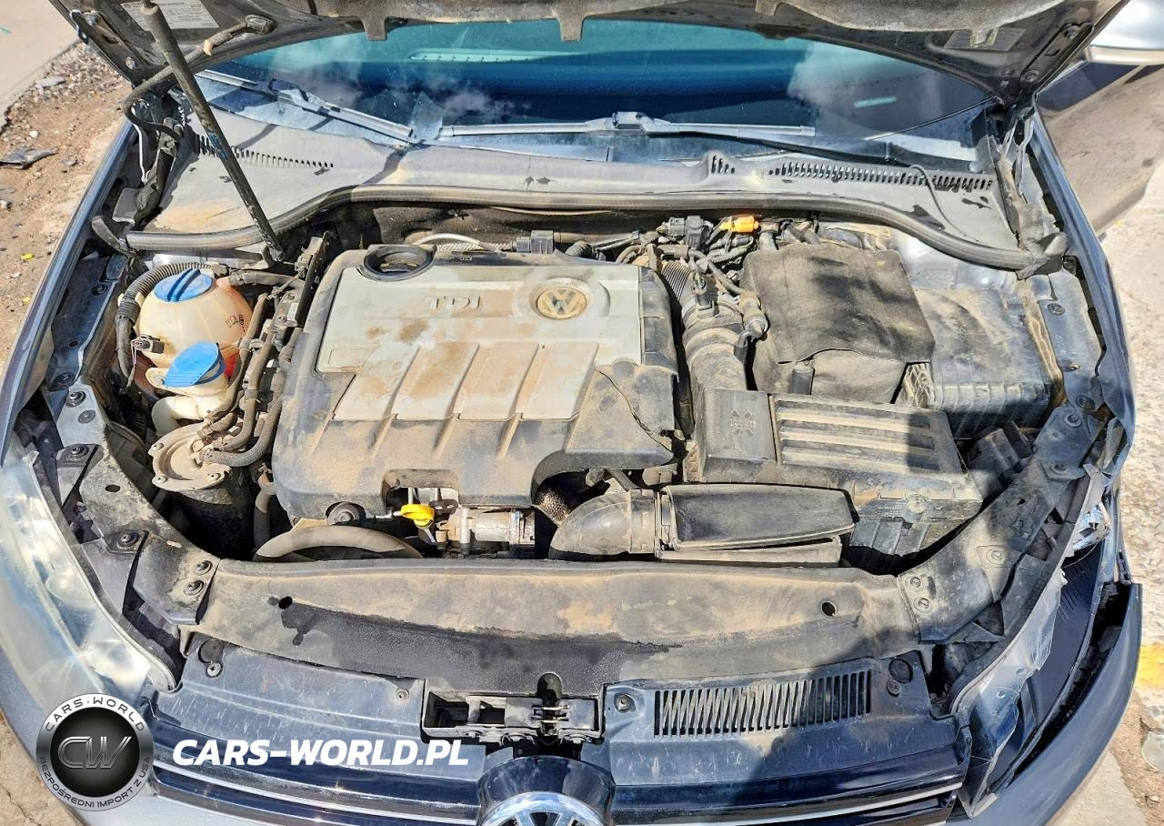 2014 Volkswagen Jetta Tdi VIN:3VWPL7AJ5EM626943 - 11