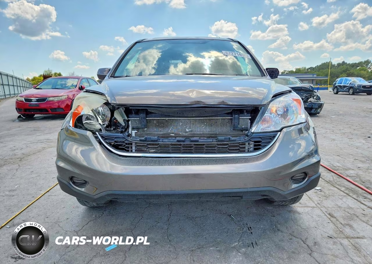 2010 Honda Cr-V Exl VIN:5J6RE3H71AL015581 - 5