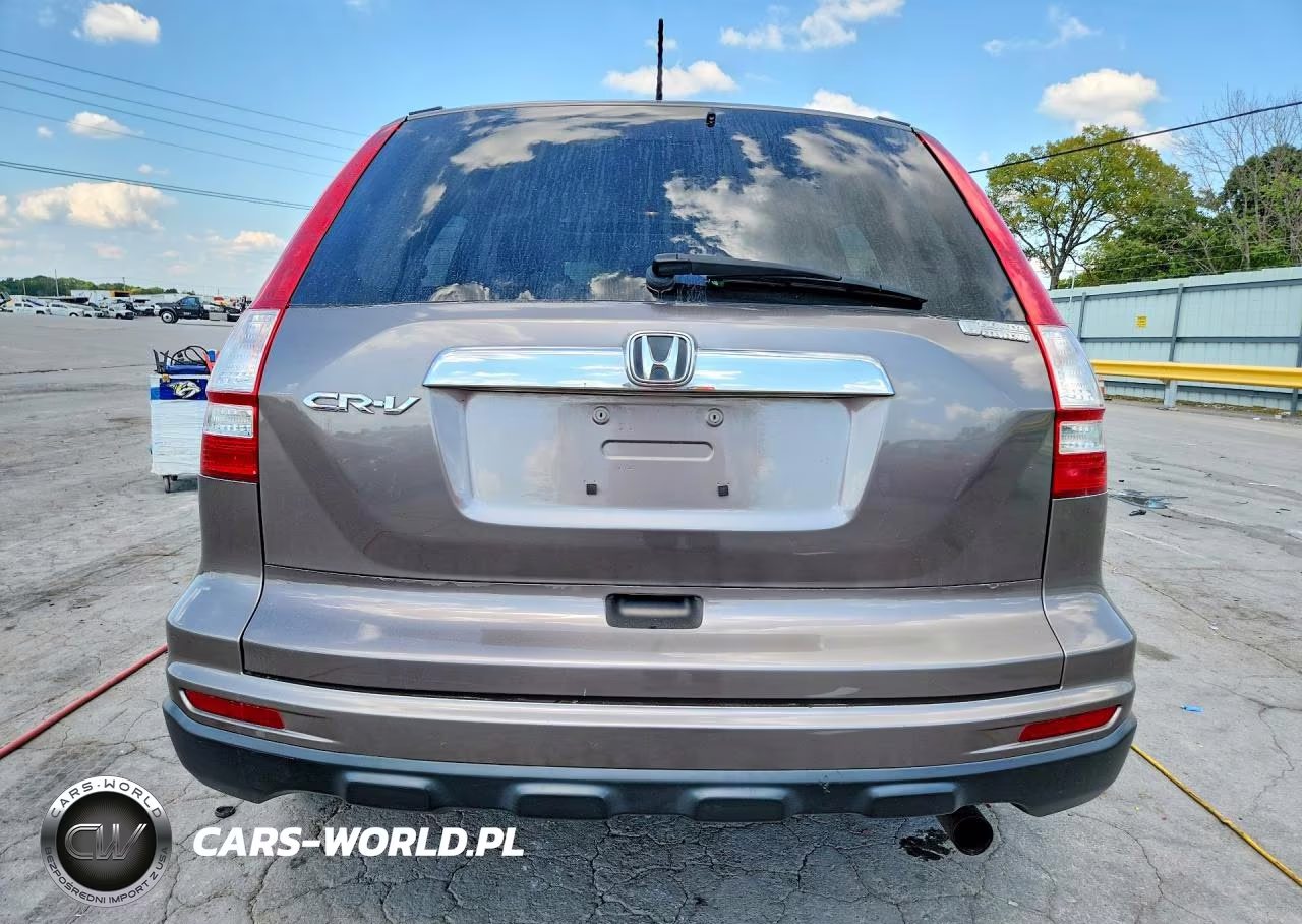 2010 Honda Cr-V Exl VIN:5J6RE3H71AL015581 - 6