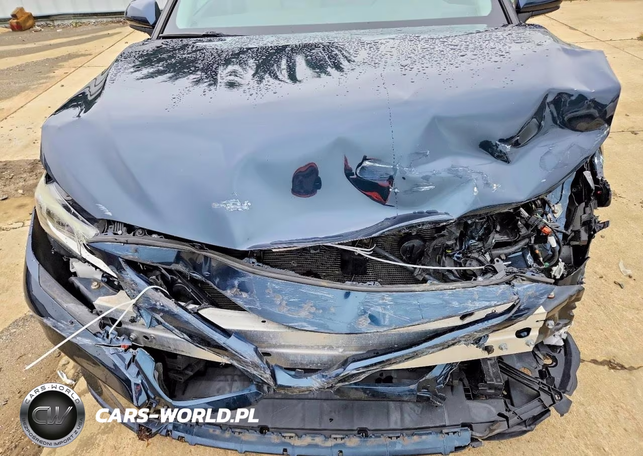2019 Toyota Camry Se VIN:4T1B11HK3KU757760 - 11