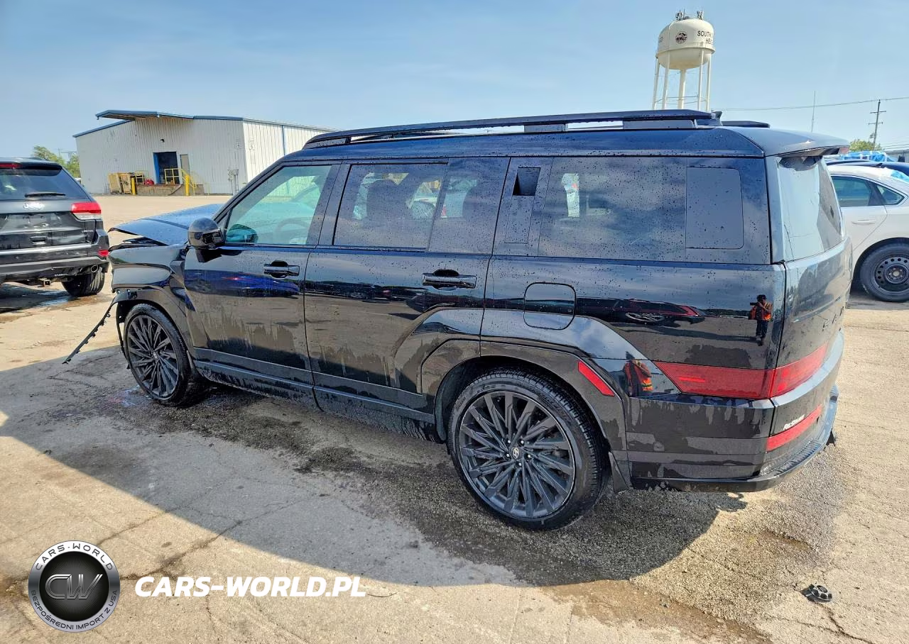 2025 Hyundai Santa Fe Calligraphy VIN:5NMP5DGL6SH069608 - 2
