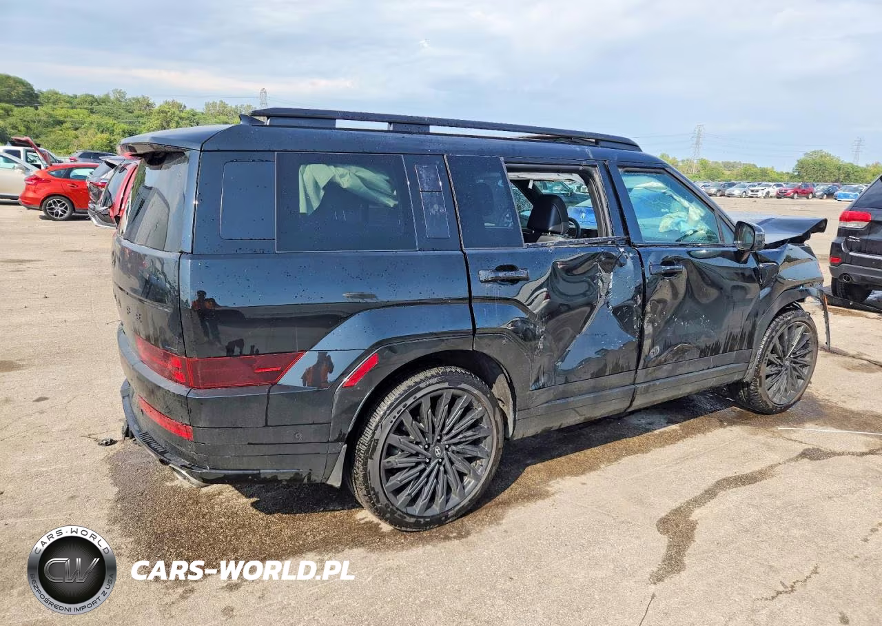 2025 Hyundai Santa Fe Calligraphy VIN:5NMP5DGL6SH069608 - 3