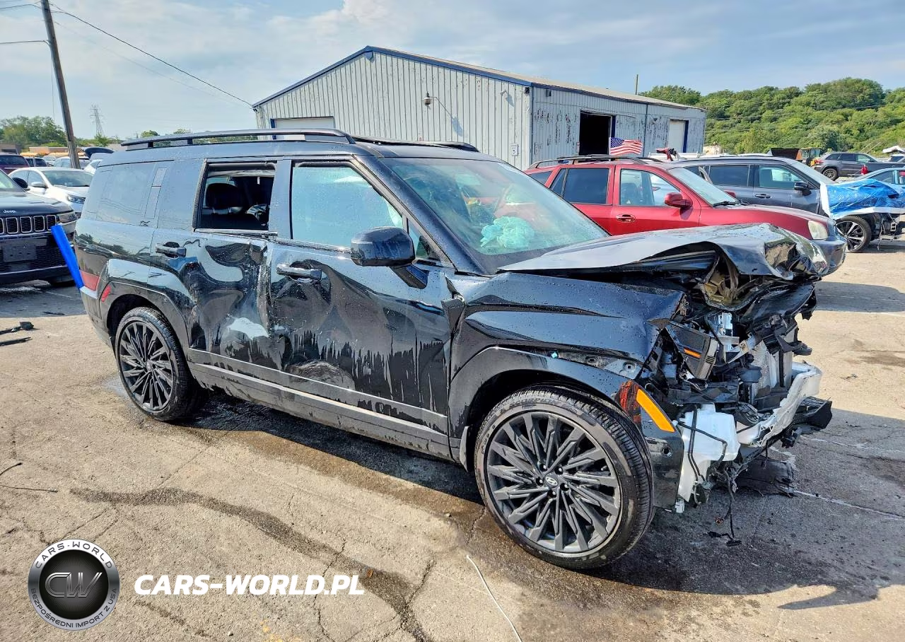 2025 Hyundai Santa Fe Calligraphy VIN:5NMP5DGL6SH069608 - 4