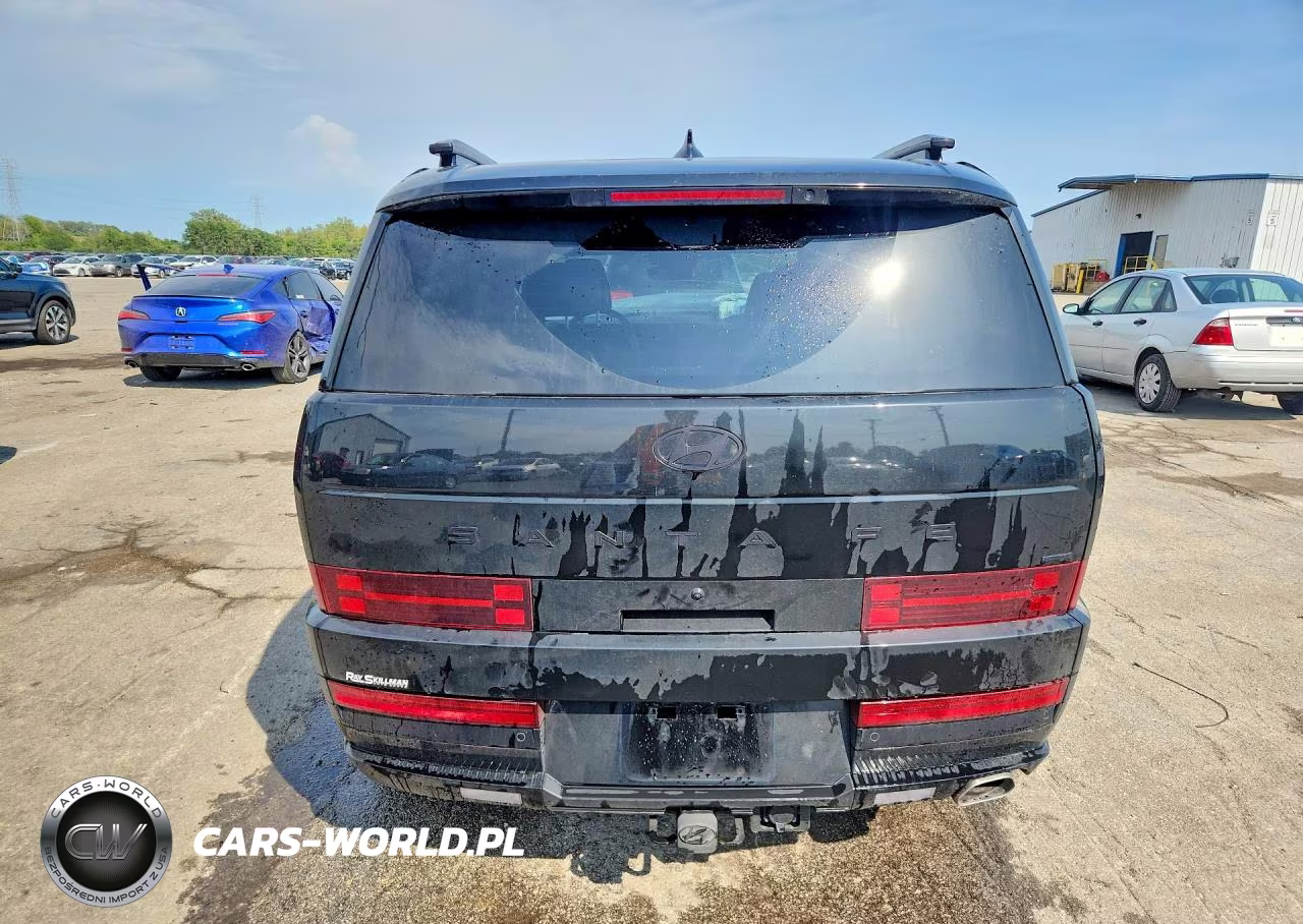2025 Hyundai Santa Fe Calligraphy VIN:5NMP5DGL6SH069608 - 6