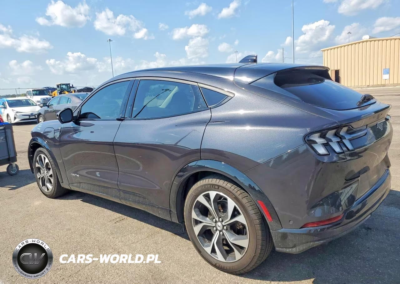 2022 Ford Mustang Mach-E Premium VIN:3FMTK3SS2NMA43794 - 2