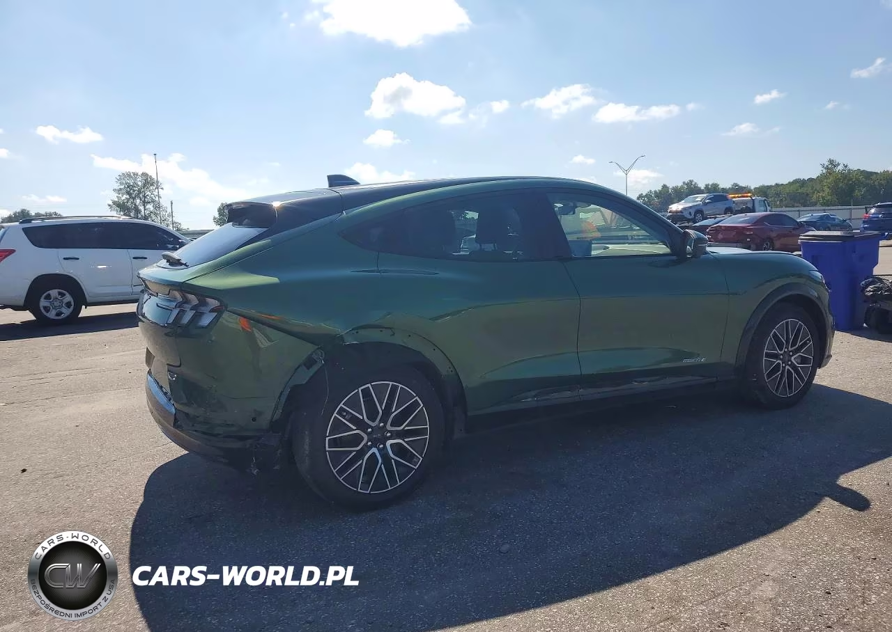 2024 Ford Mustang Mach-E Premium VIN:3FMTK3R44RMA13970 - 3