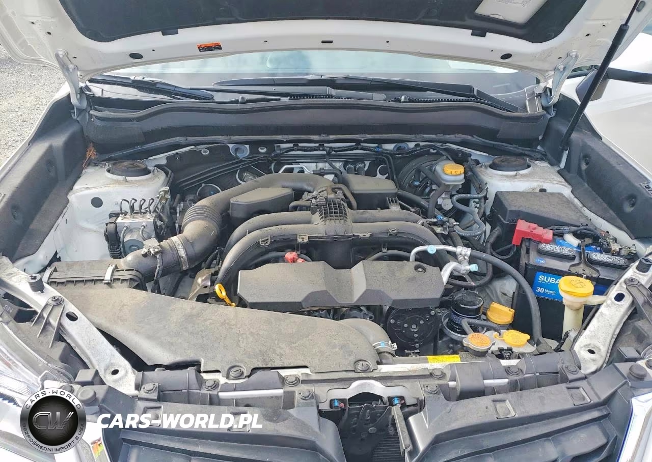 2018 Subaru Forester 2.5I Premium VIN:JF2SJAEC5JH444199 - 12