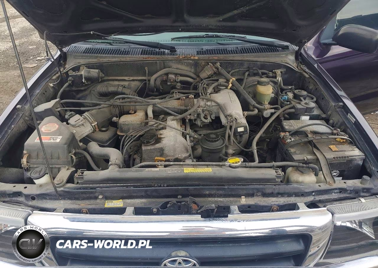 1998 Toyota Tacoma Base VIN:4TAWM72N8WZ113890 - 11