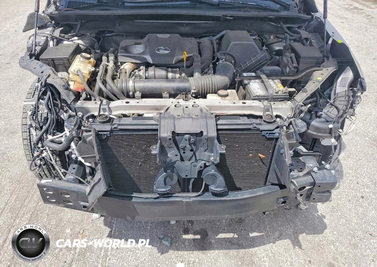 2020 Lexus Nx 300 VIN:JTJDARBZ0L5019120 - 12