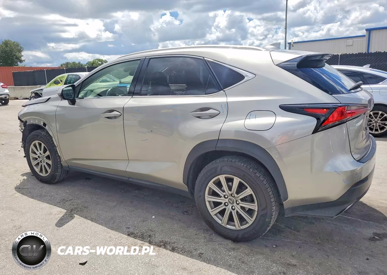 2020 Lexus Nx 300 VIN:JTJDARBZ0L5019120 - 2