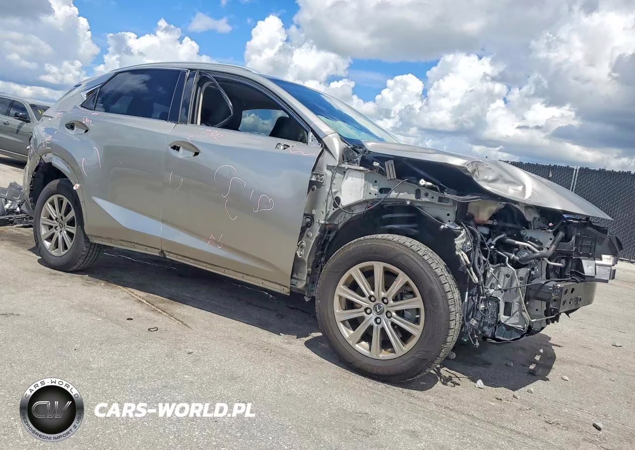2020 Lexus Nx 300 VIN:JTJDARBZ0L5019120 - 4