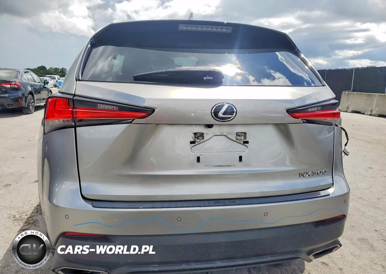 2020 Lexus Nx 300 VIN:JTJDARBZ0L5019120 - 6