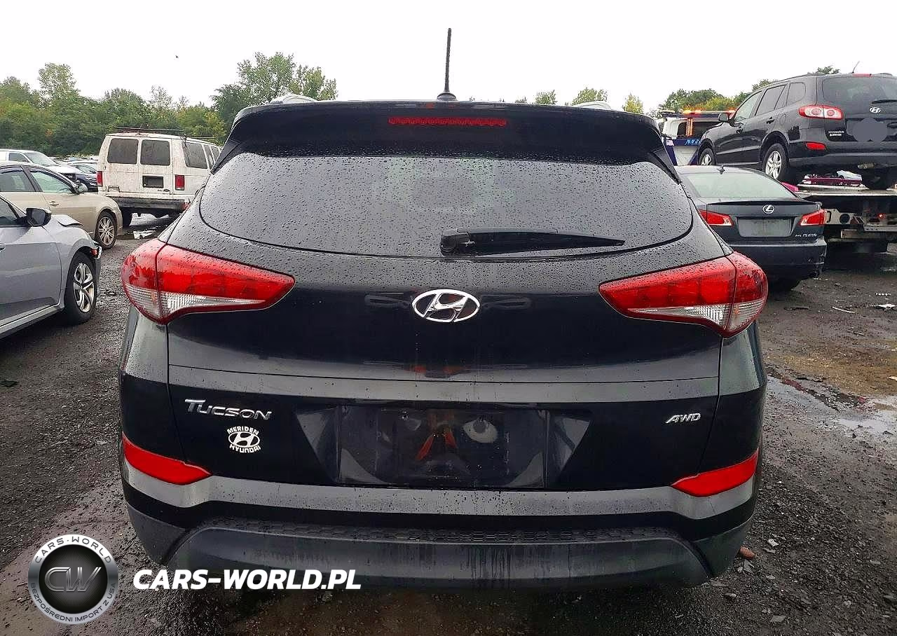 2016 Hyundai Tucson Se VIN:KM8J3CA44GU181231 - 6
