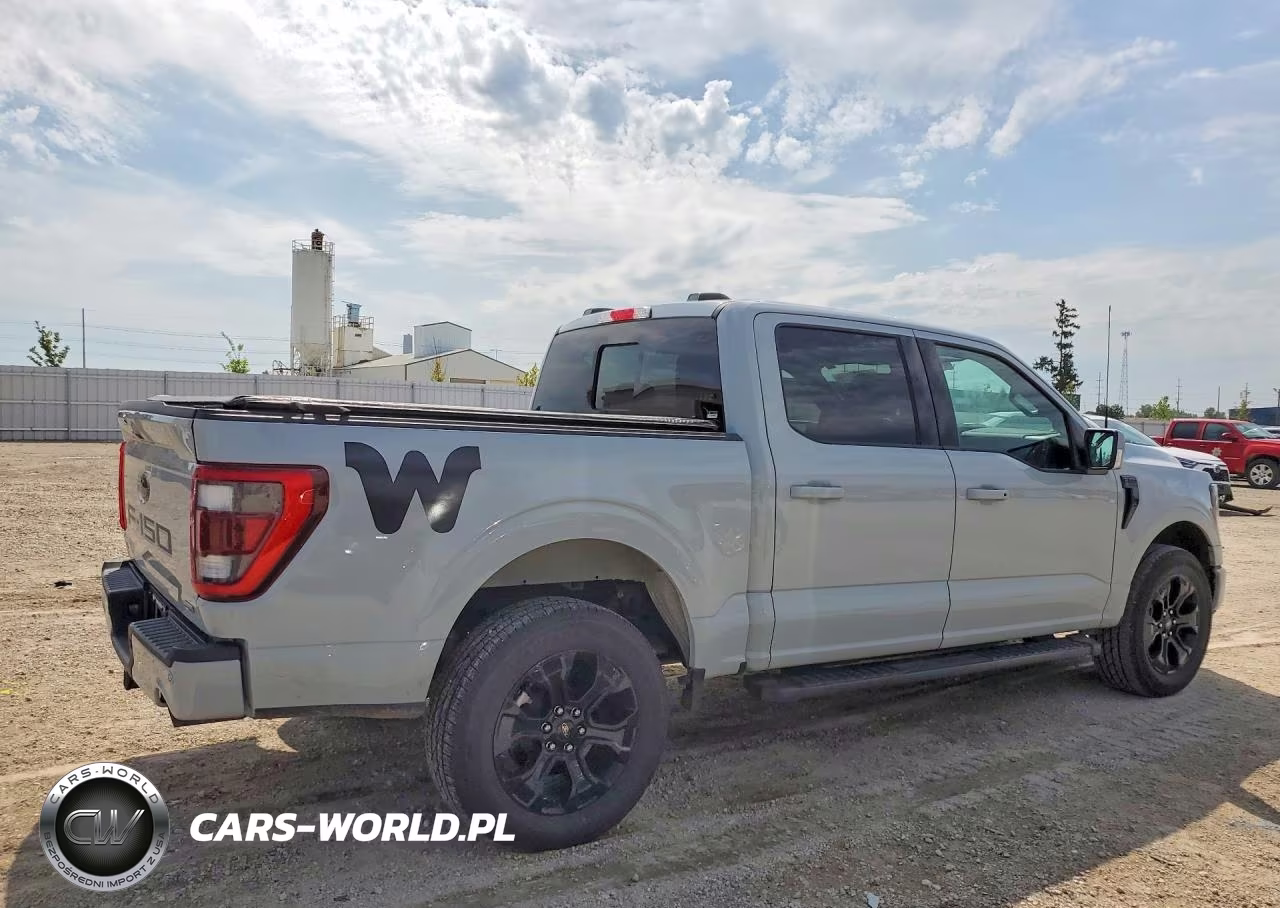 2023 Ford F150 Supercrew VIN:1FTFW1E80PFA47968 - 3