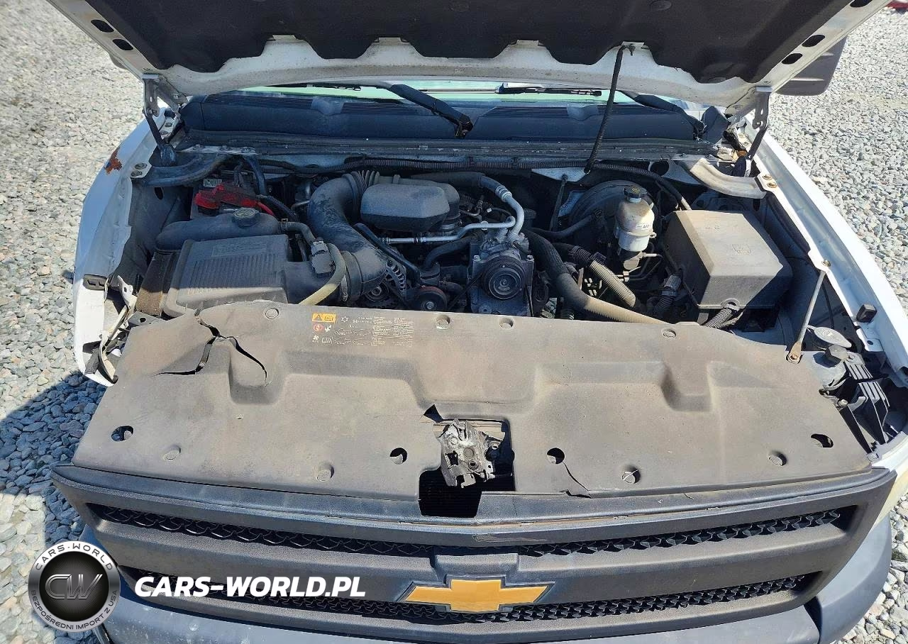 2013 Chevrolet Silverado C1500 VIN:1GCNCPEX5DZ900034 - 11