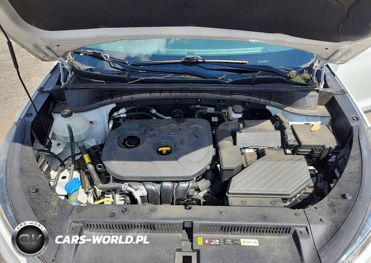 2019 Hyundai Tucson Value VIN:KM8J33A45KU066016 - 12