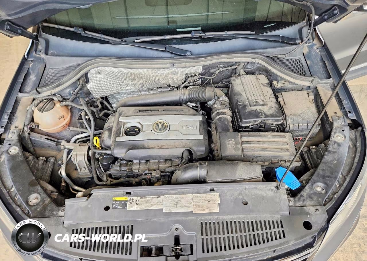 2015 Volkswagen Tiguan S VIN:WVGBV7AX5FW606751 - 12