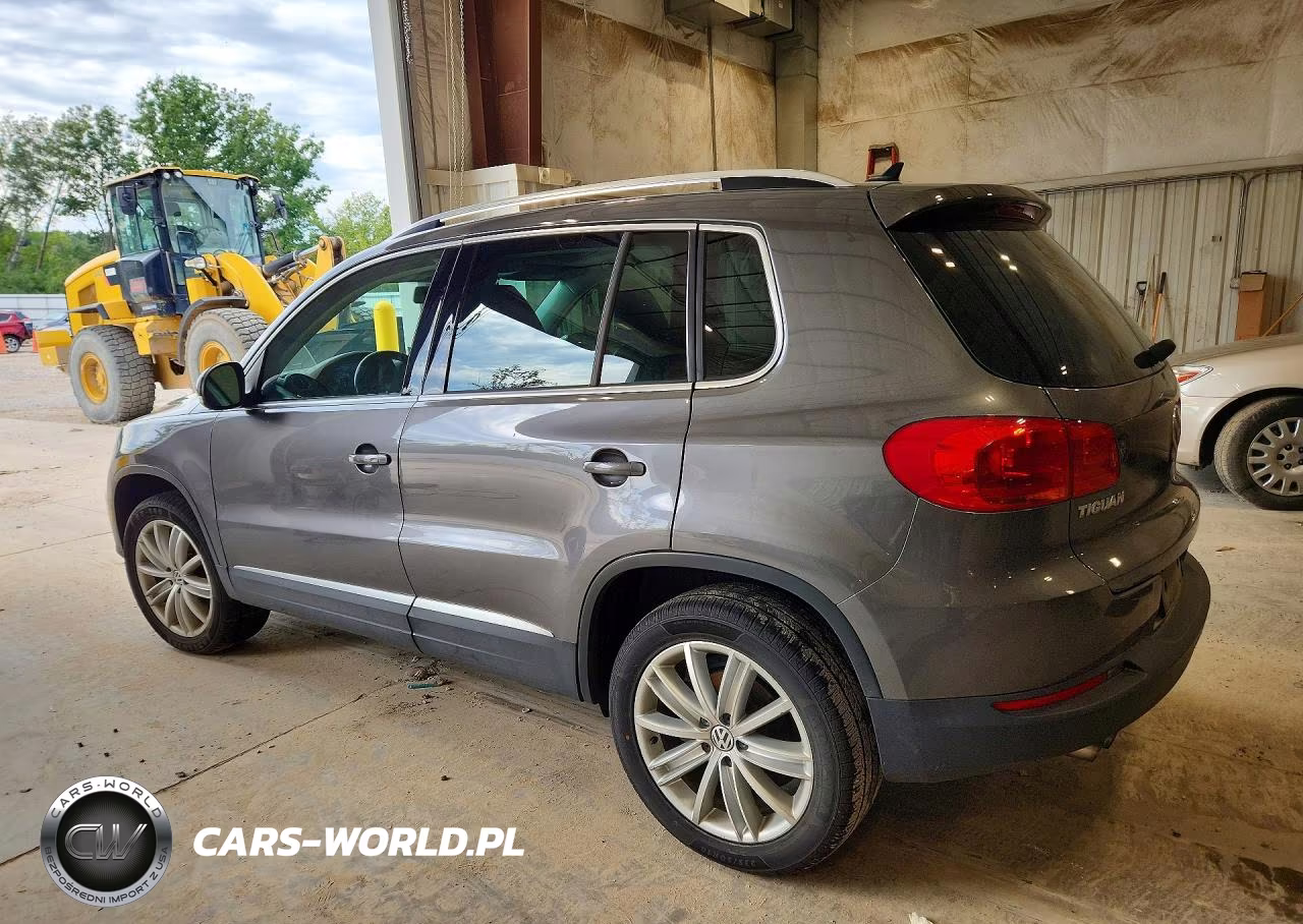 2015 Volkswagen Tiguan S VIN:WVGBV7AX5FW606751 - 2