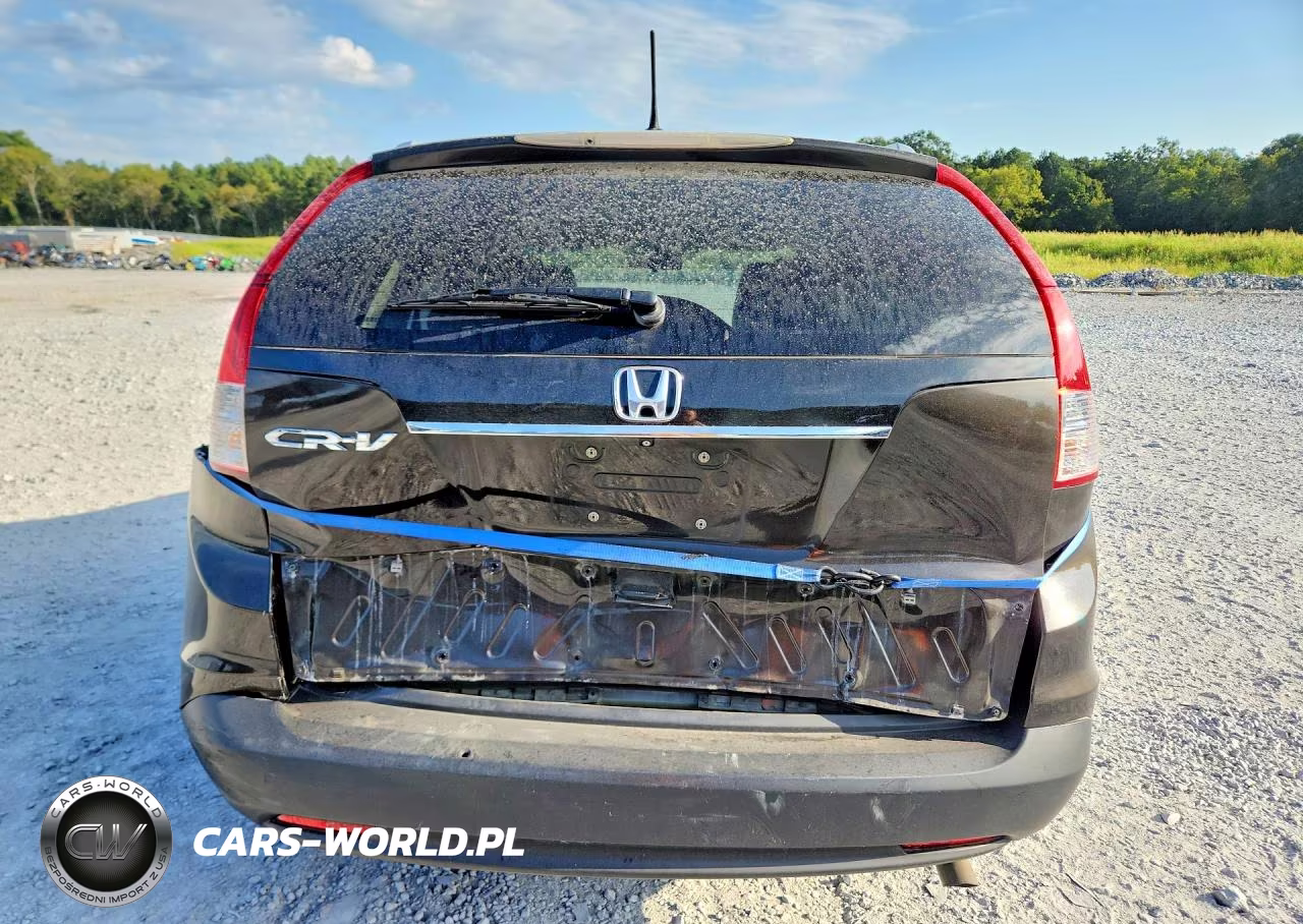 2014 Honda Cr-V Exl VIN:5J6RM3H77EL010779 - 6