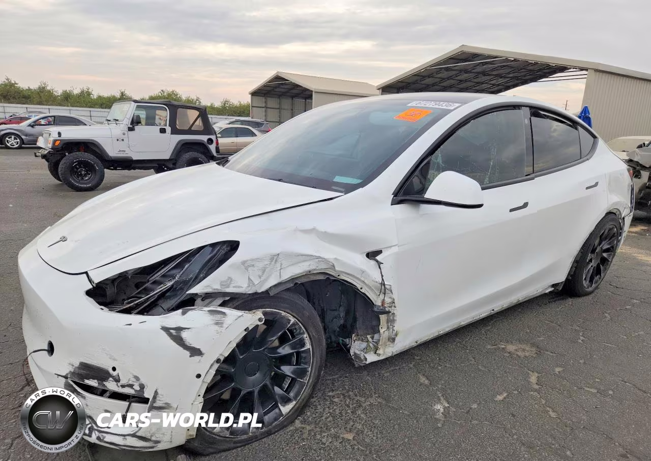 2021 Tesla Model Y