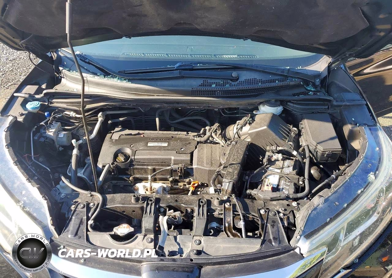 2016 Honda Cr-V Lx VIN:2HKRM4H31GH612772 - 11