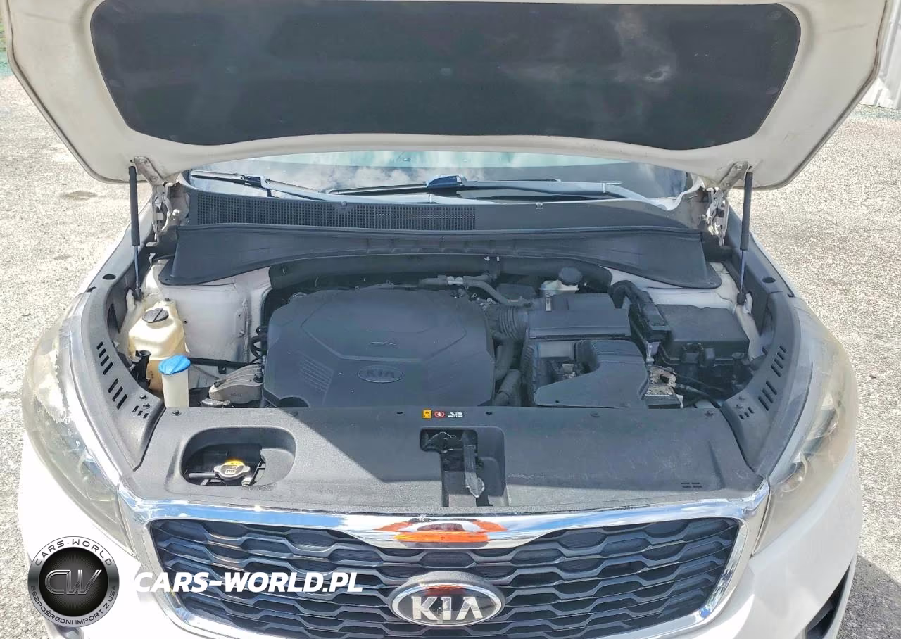 2019 Kia Sorento Lx V6 VIN:5XYPG4A51KG485208 - 12