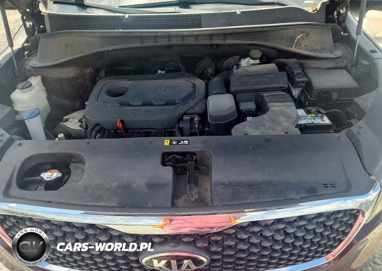 2017 Kia Sorento Lx VIN:5XYPG4A36HG329446 - 12