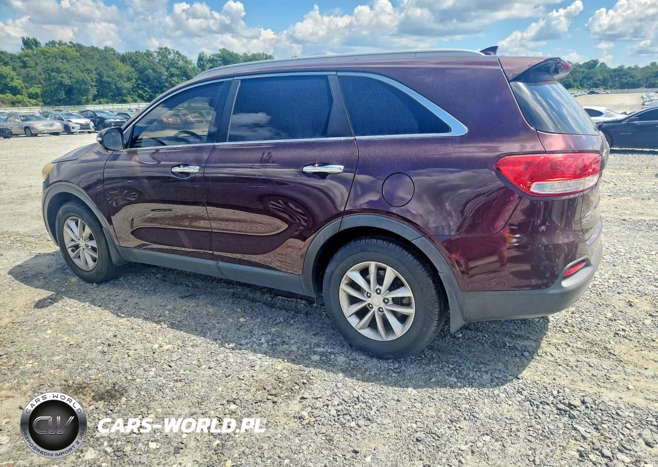 2017 Kia Sorento Lx VIN:5XYPG4A36HG329446 - 2