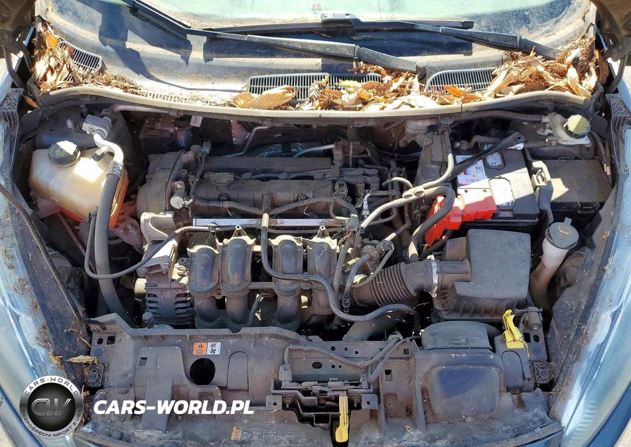 2015 Ford Fiesta Se VIN:3FADP4EJ2FM133442 - 11