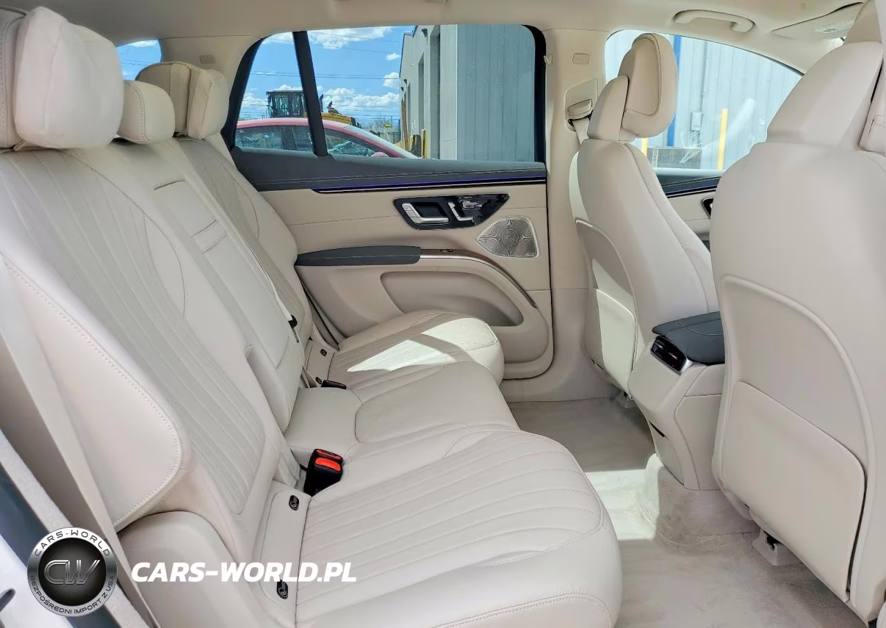 2023 Mercedes-Benz Eqs Suv 450+ VIN:4JGDM2DB3PA011958 - 10