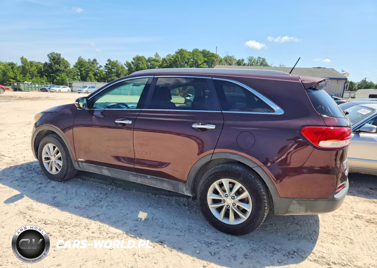 2017 Kia Sorento Lx VIN:5XYPGDA34HG204672 - 2