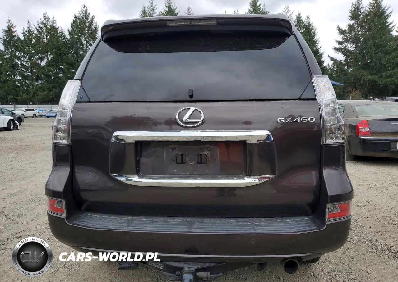 2014 Lexus Gx 460 Premium VIN:JTJJM7FX1E5064609 - 6