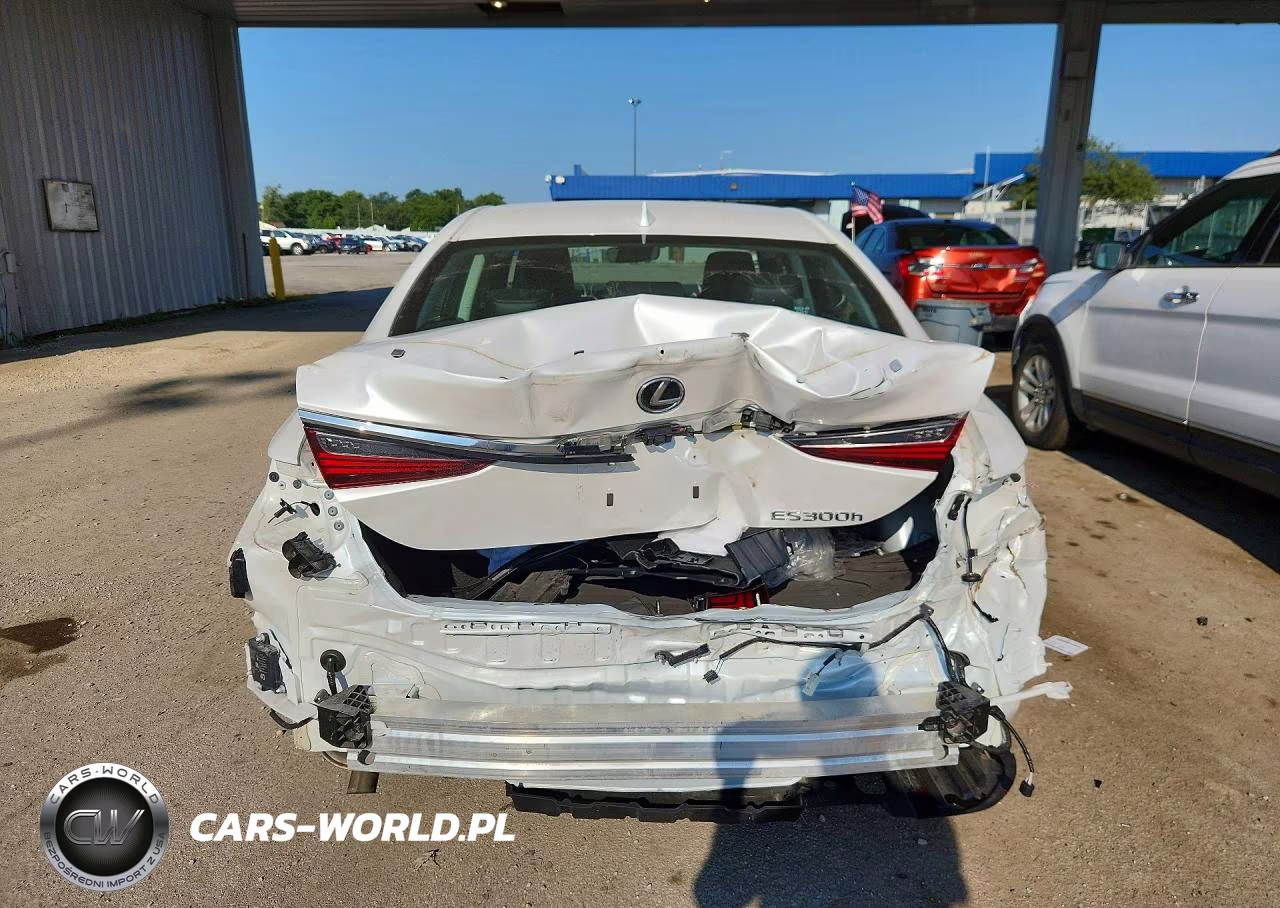 2024 Lexus Es 300H Base VIN:58ADA1C1XRU038077 - 6