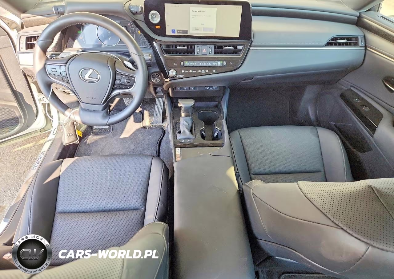 2024 Lexus Es 300H Base VIN:58ADA1C1XRU038077 - 8