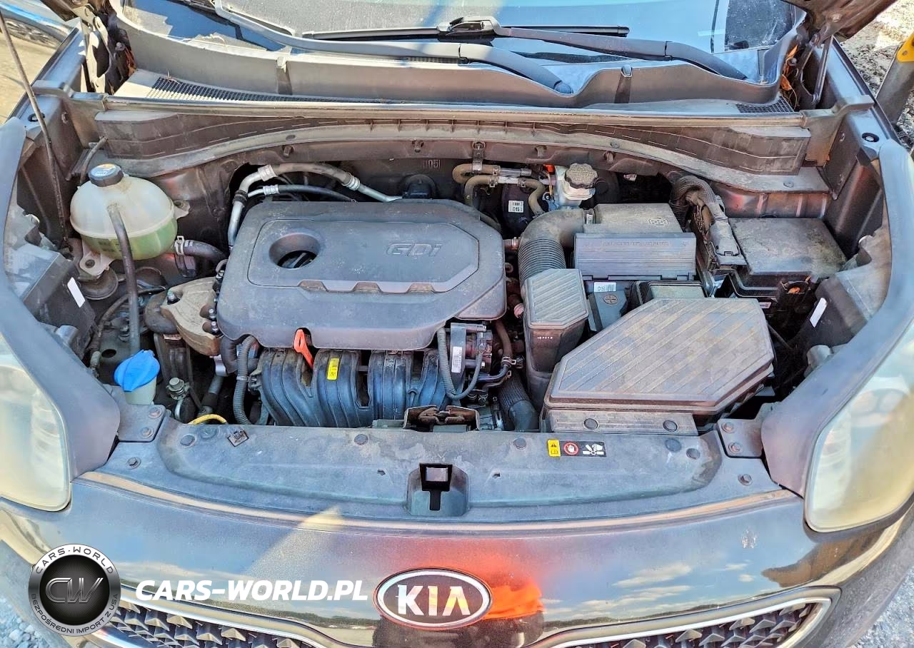 2017 Kia Sportage Lx VIN:KNDPM3AC8H7075965 - 12