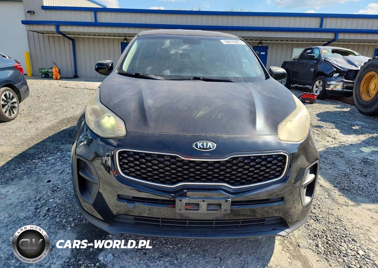 2017 Kia Sportage Lx VIN:KNDPM3AC8H7075965 - 5