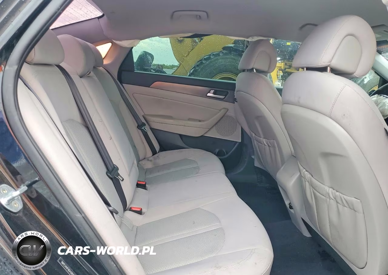 2016 Hyundai Sonata Sport VIN:5NPE34AF8GH281002 - 10
